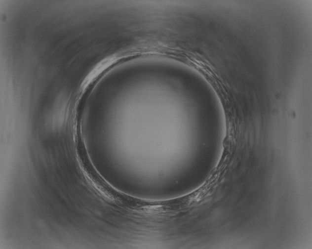 X0000081380054200701111502