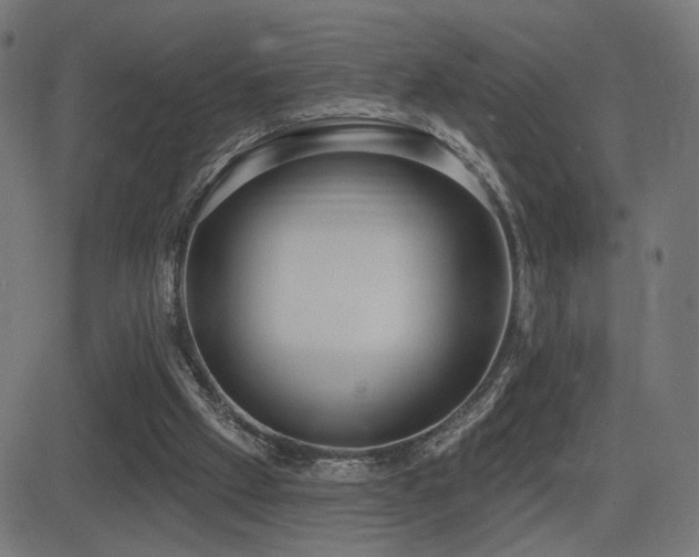 X0000081380057200701111502