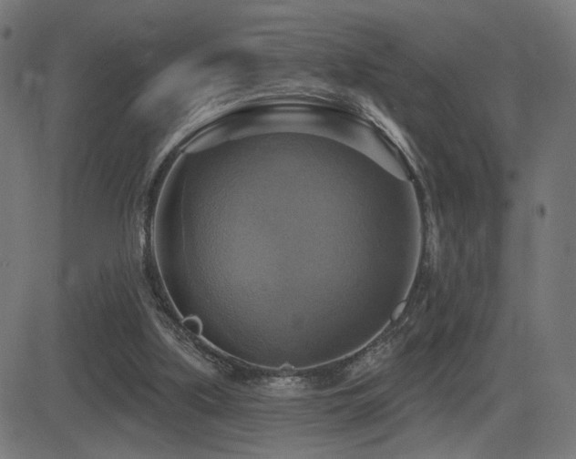 X0000081380059200701111502