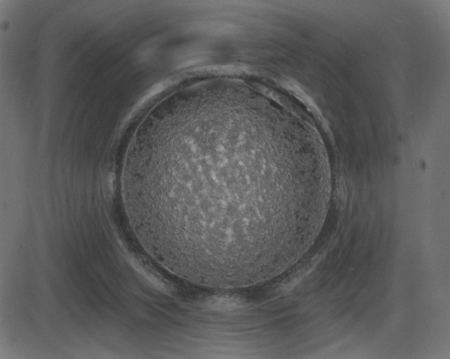 X0000081380063200701111503