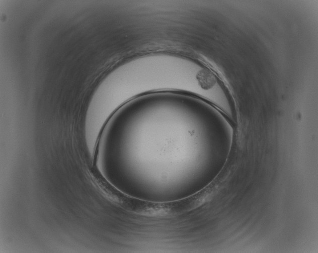 X0000081380065200701111503