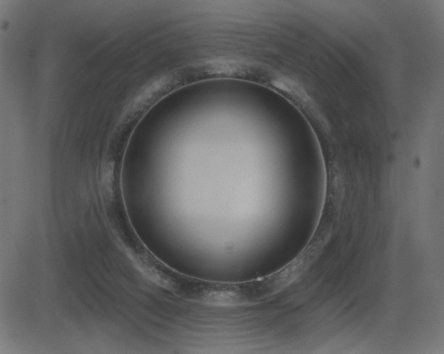 X0000081380066200701111503