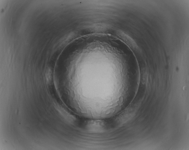 X0000081380077200701111503
