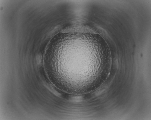 X0000081380081200701111503