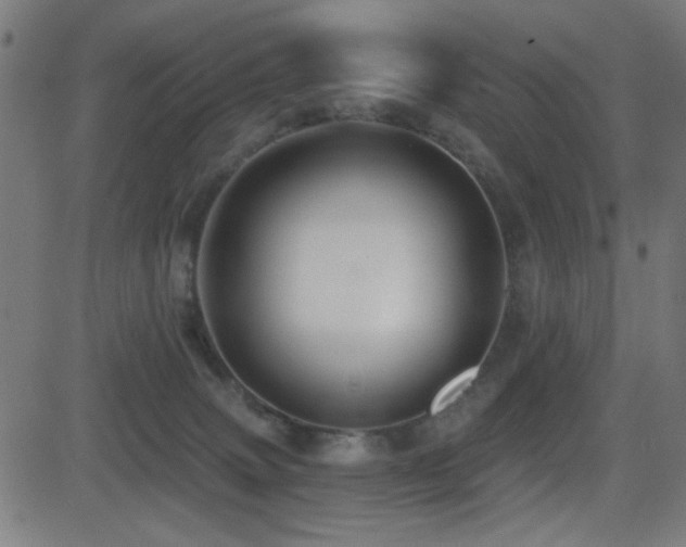X0000081380083200701111503