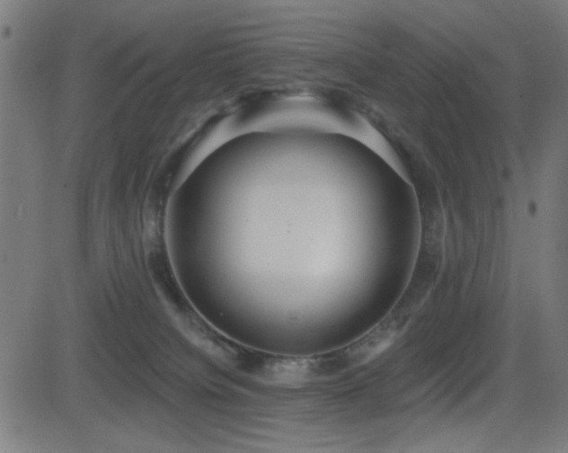 X0000081380084200701111503