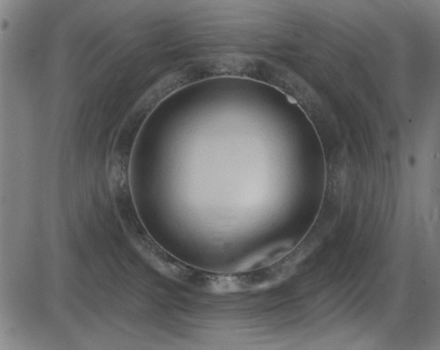 X0000081380091200701111503