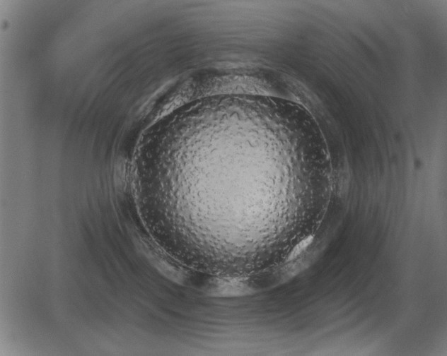X0000081380093200701111503