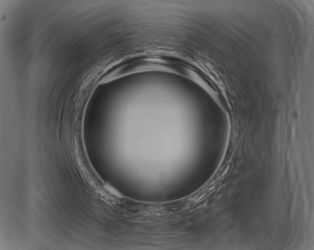 X0000081380097200701111502