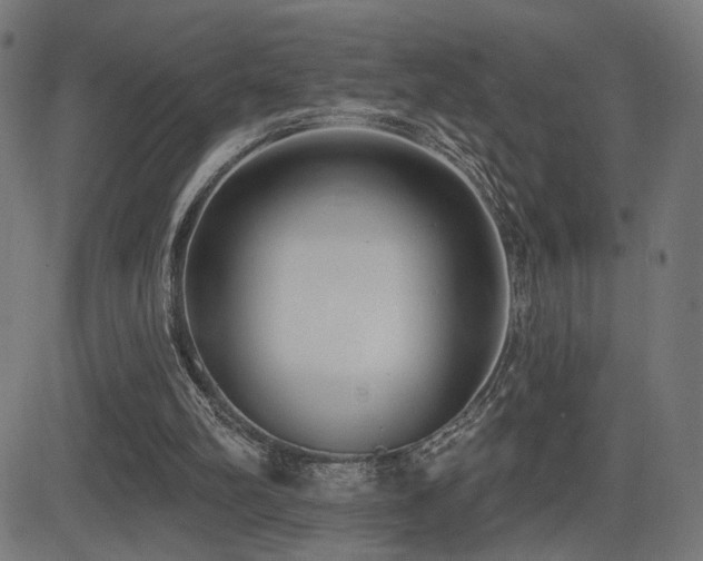 X0000081380102200701111502