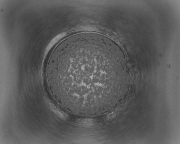 X0000081380104200701111502