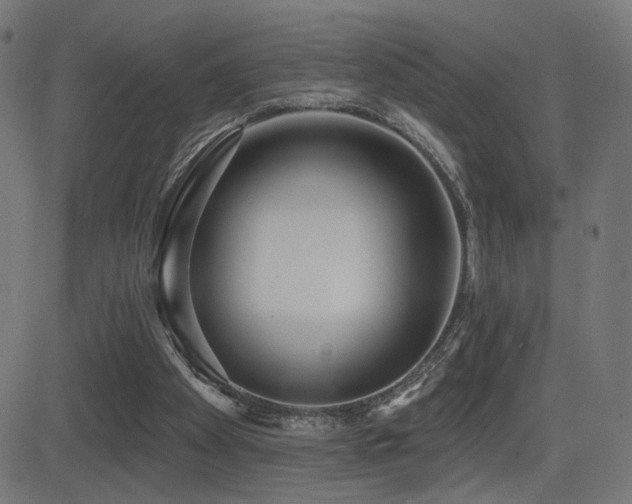 X0000081380105200701111502