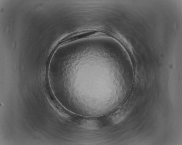 X0000081380107200701111502