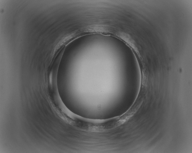 X0000081380109200701111502