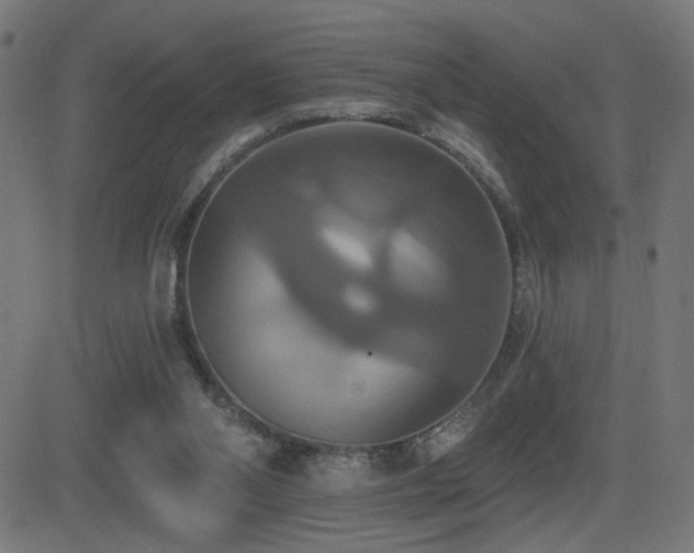 X0000081380110200701111502