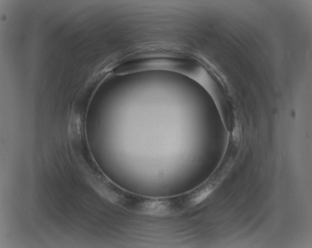 X0000081380117200701111502