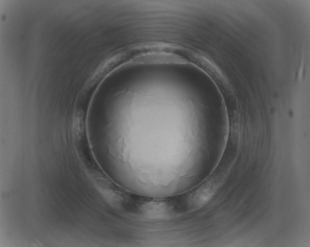 X0000081380119200701111502