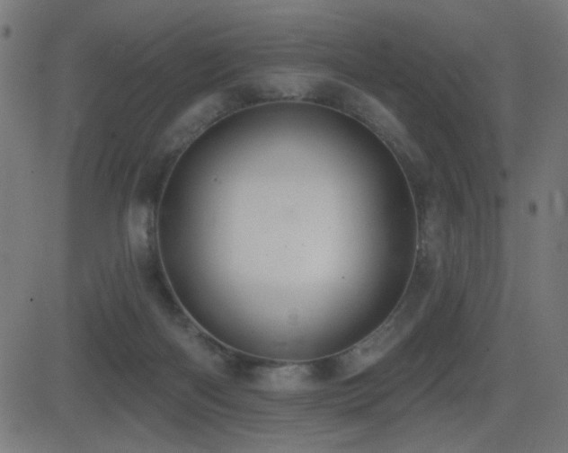 X0000081380122200701111502