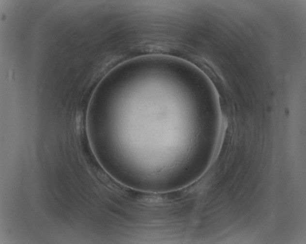 X0000081380123200701111502