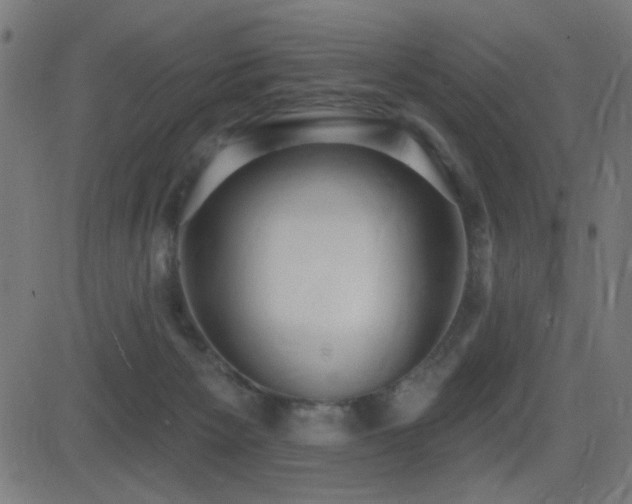X0000081380125200701111502