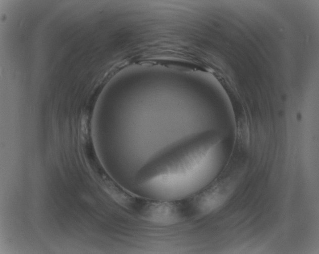 X0000081380127200701111502