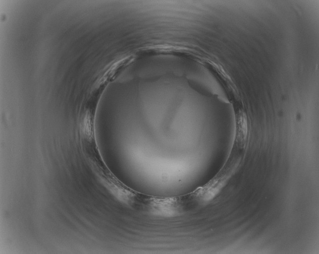 X0000081380143200701111502