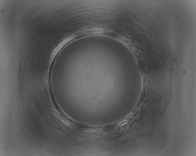 X0000081380147200701111501