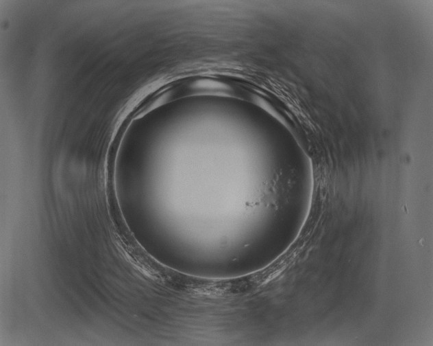 X0000081380148200701111501