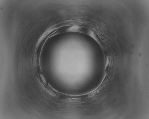 X0000081380150200701111501