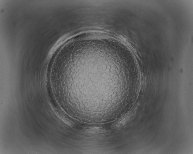 X0000081380151200701111501