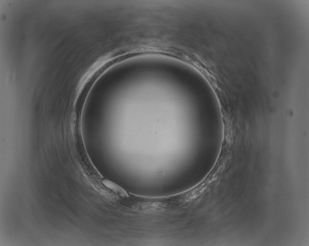 X0000081380152200701111501