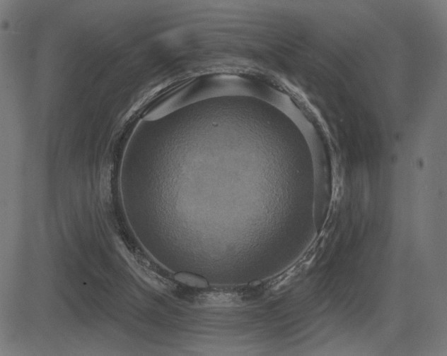 X0000081380154200701111501