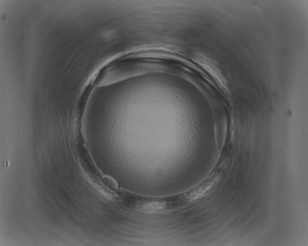 X0000081380156200701111501