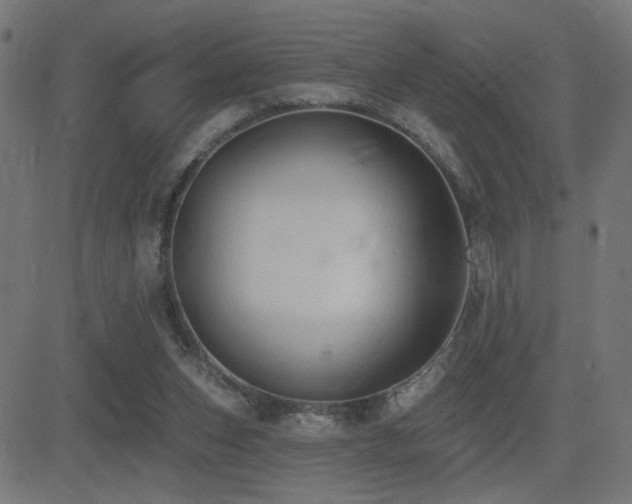 X0000081380159200701111501