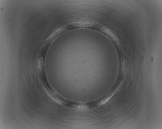 X0000081380165200701111501