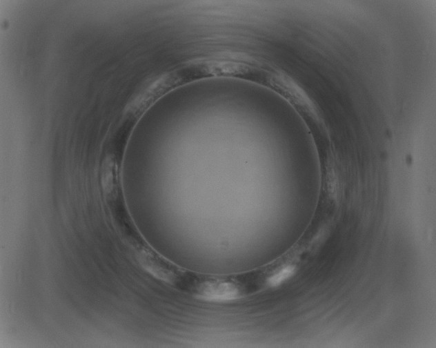 X0000081380169200701111501