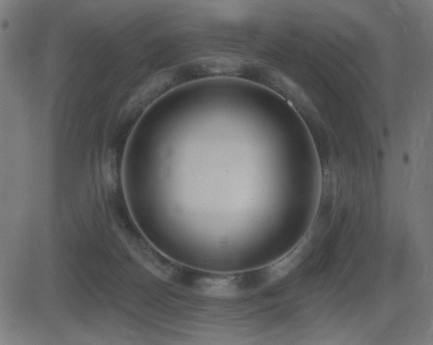 X0000081380170200701111501