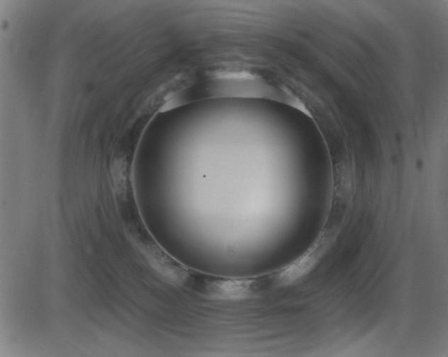 X0000081380184200701111501