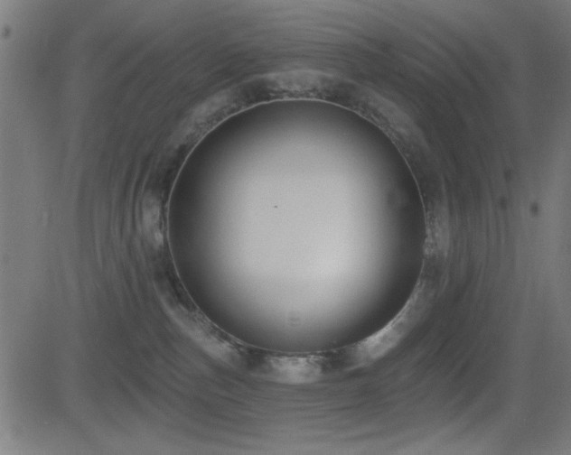 X0000081380187200701111501