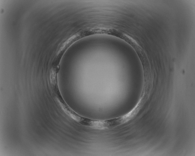 X0000081380192200701111501