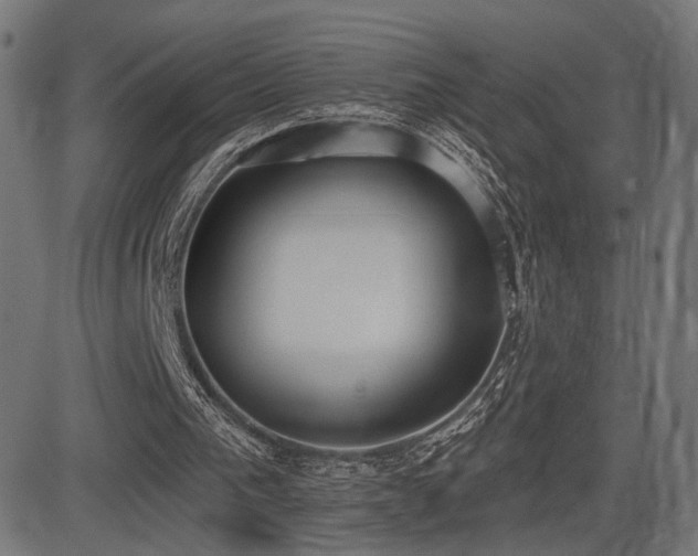 X0000081380193200701111501