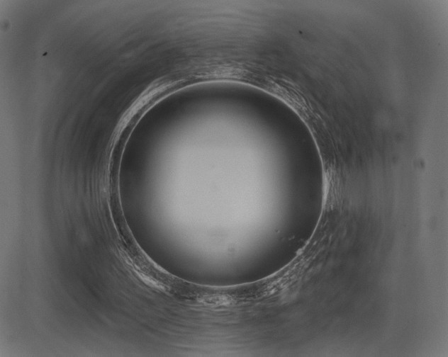 X0000081380195200701111501