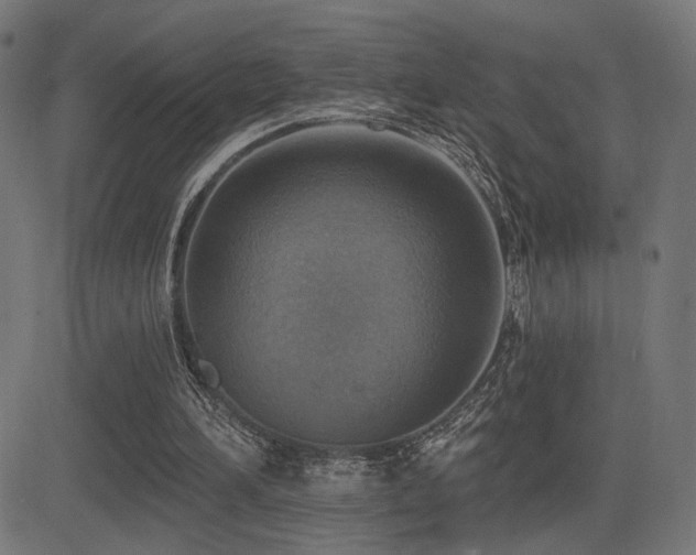 X0000081380196200701111501