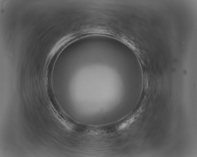 X0000081380199200701111501