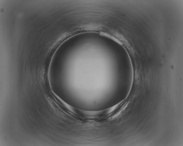X0000081380201200701111501
