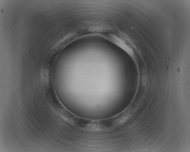 X0000081380211200701111500
