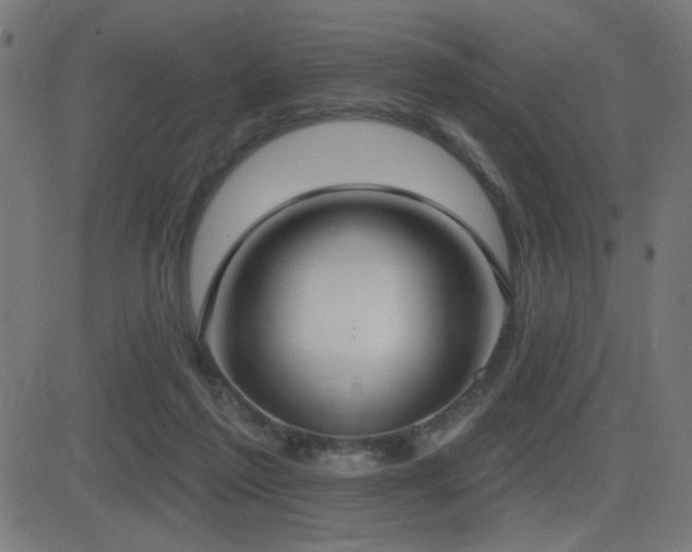 X0000081380213200701111500