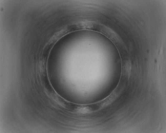 X0000081380218200701111500