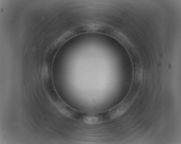 X0000081380220200701111500