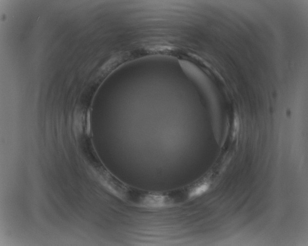 X0000081380227200701111500